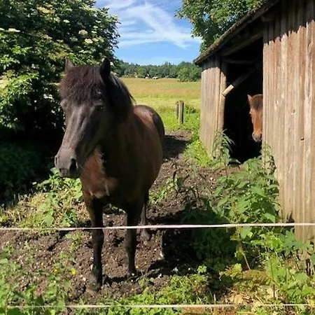Peaceful In Scenic Sondrup 度假居 Hundslund